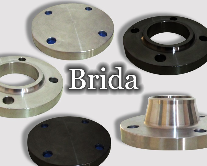 Bridas de diferentes tipos y materiales.