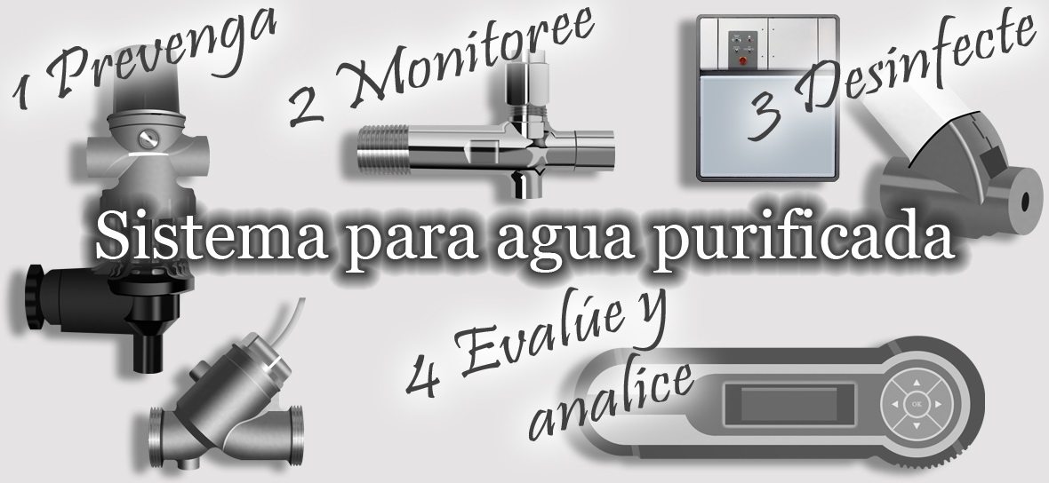 Sistema para agua purificada